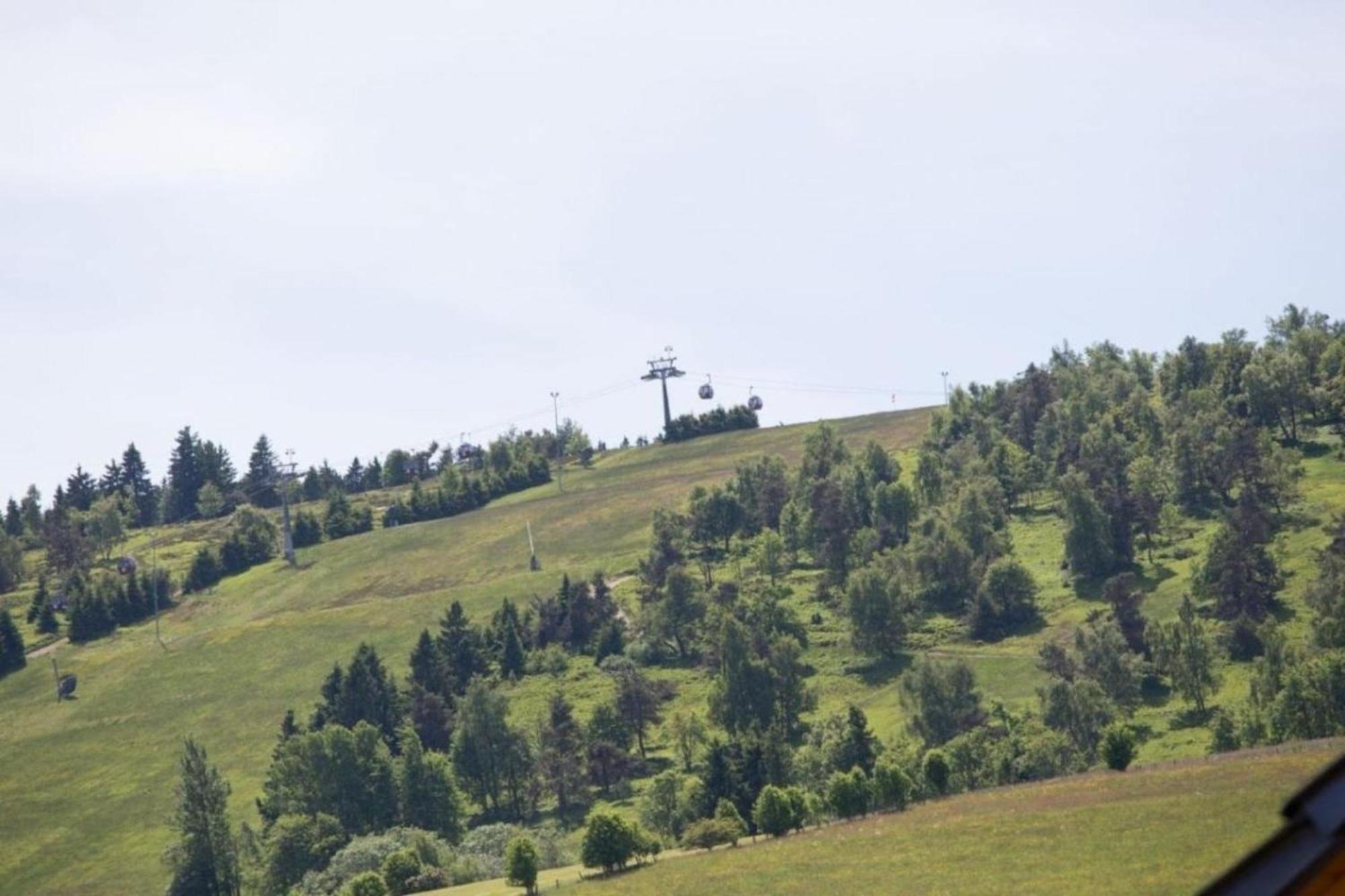 Ferienhaus Easy Holiday Am Ritzhagen Ehem Heinrichs Willingen  Dış mekan fotoğraf