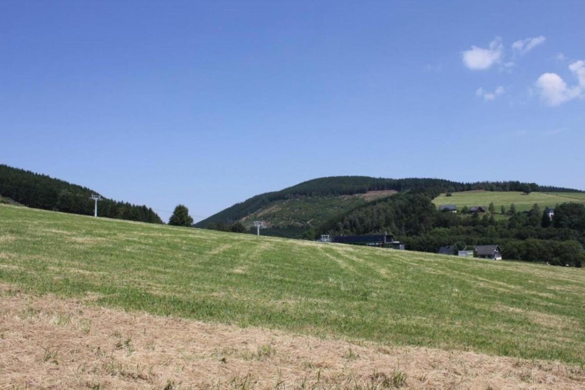 Ferienhaus Easy Holiday Am Ritzhagen Ehem Heinrichs Willingen  Dış mekan fotoğraf